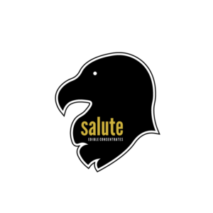 Logo Design by Designs by Aidan