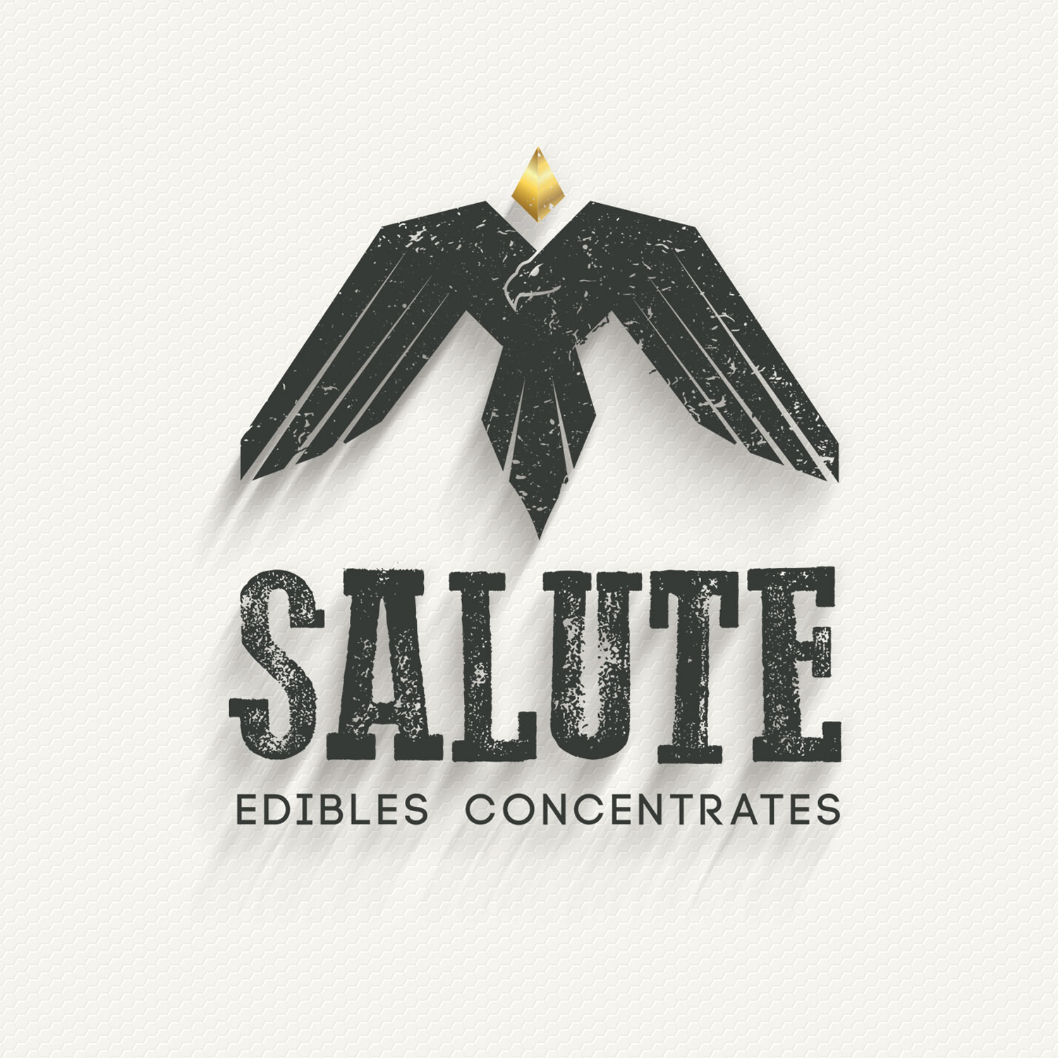 Design de Logo par JAYCANSAY pour LifeRep | Design #20480967