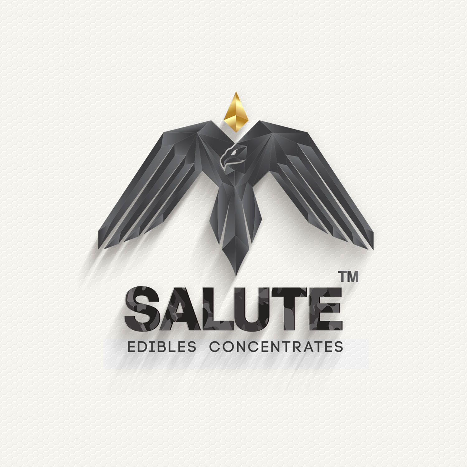 Logo Design by JAYCANSAY for LifeRep | Design #20482338