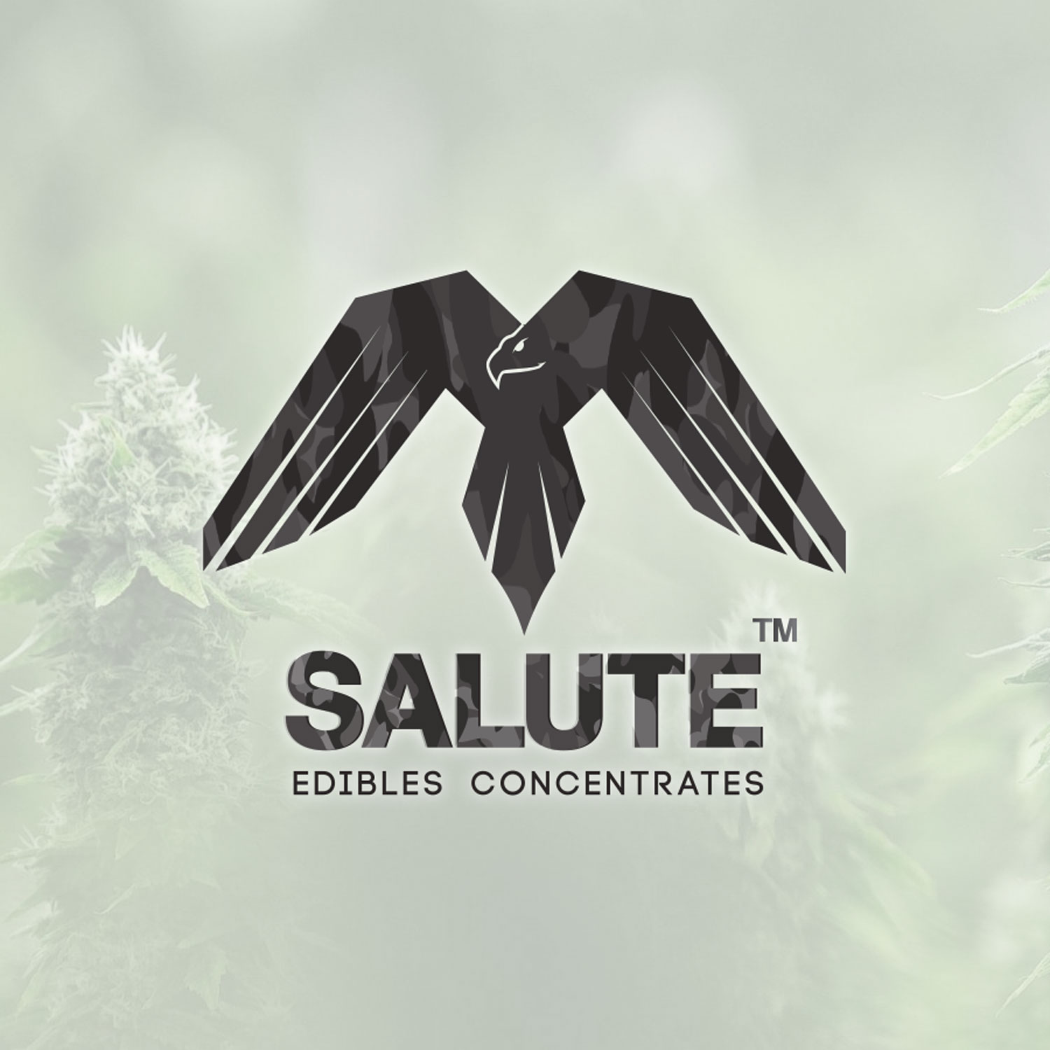 Diseño de Logo por JAYCANSAY para LifeRep | Diseño #20482339