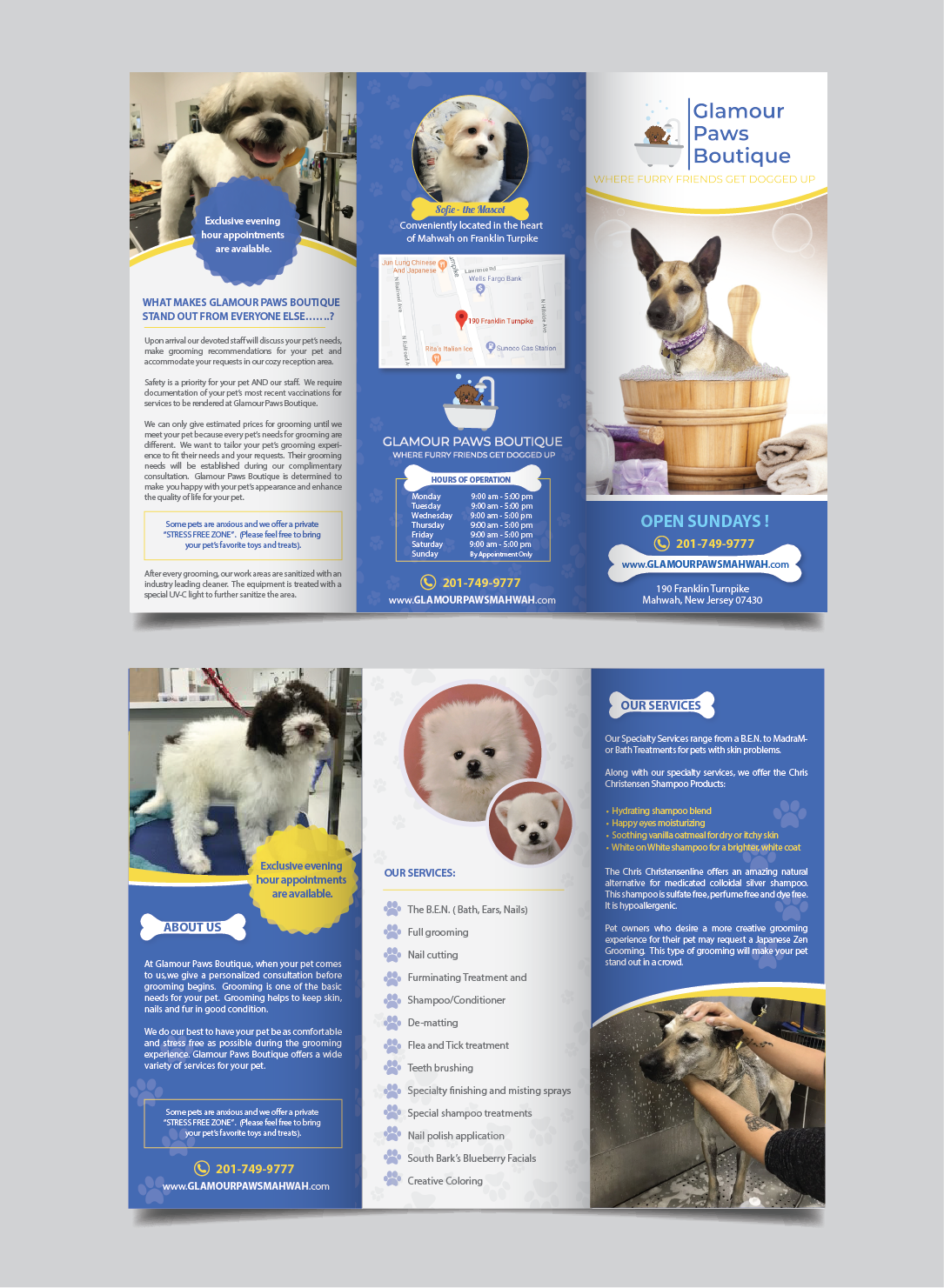 Flyer Design by alex989 for Glamour Paws Boutique | Design #20475528