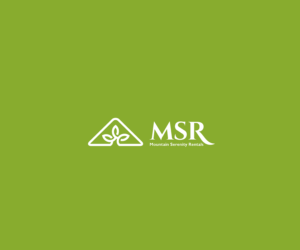 Logo Design by saulogchito for Mountain Serenity Rentals LLC | Design #20500405