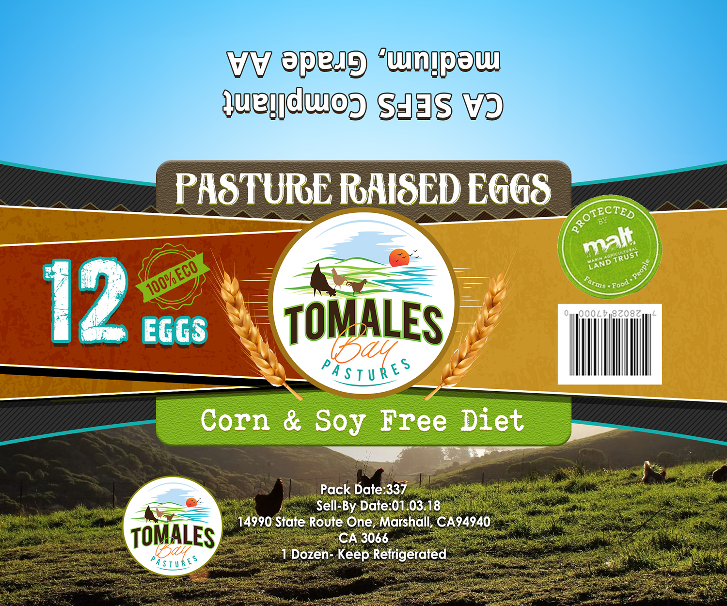 Grafik-Design von VEGA-Designs für dieses Projekt | Design #20497111