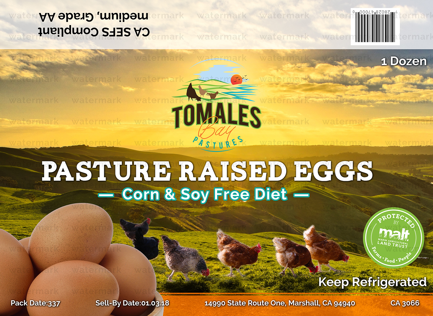 Graphic Design by Martin Alonso for this project | Design #20484224