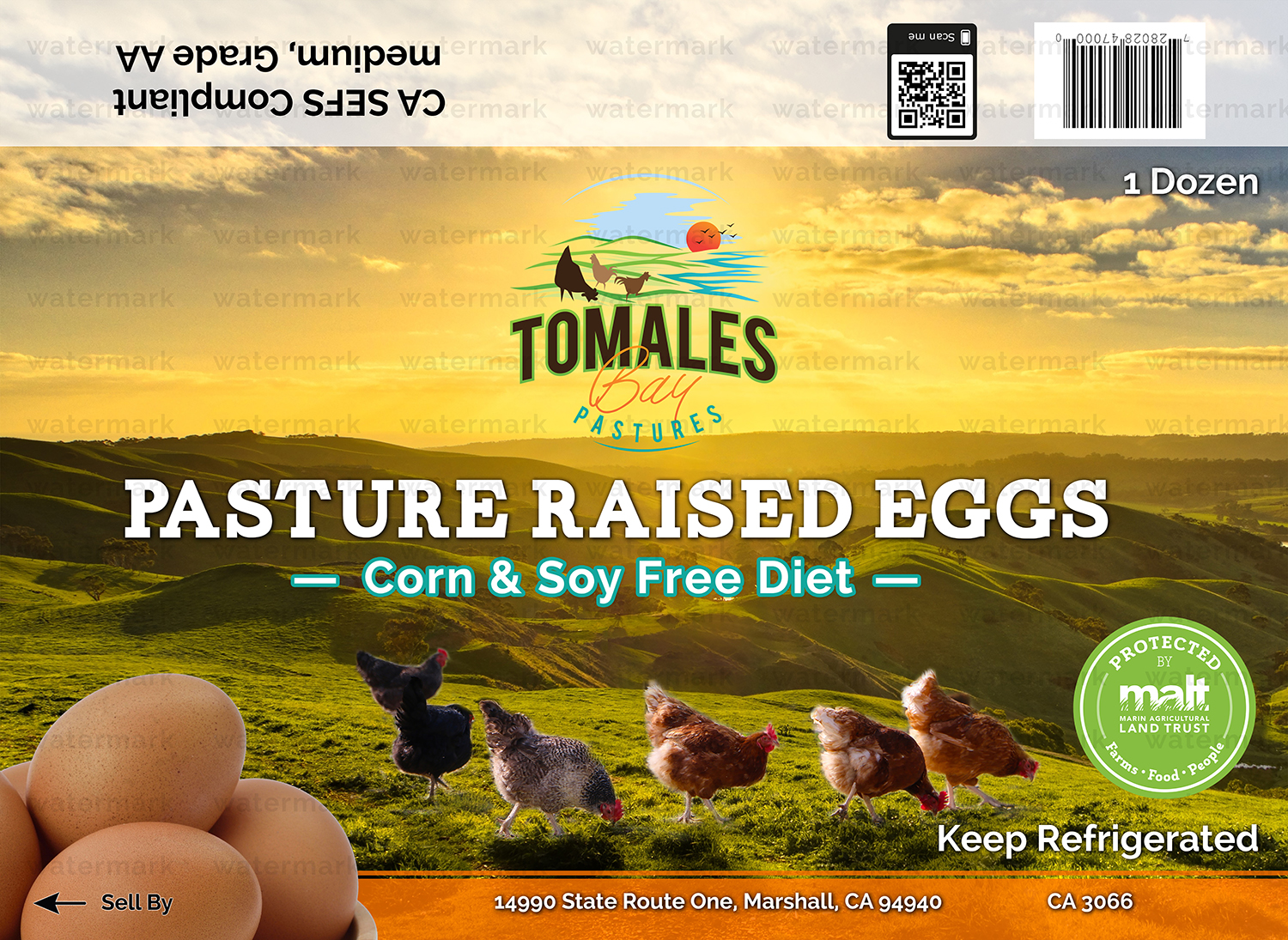 Graphic Design by Martin Alonso for this project | Design #20540340