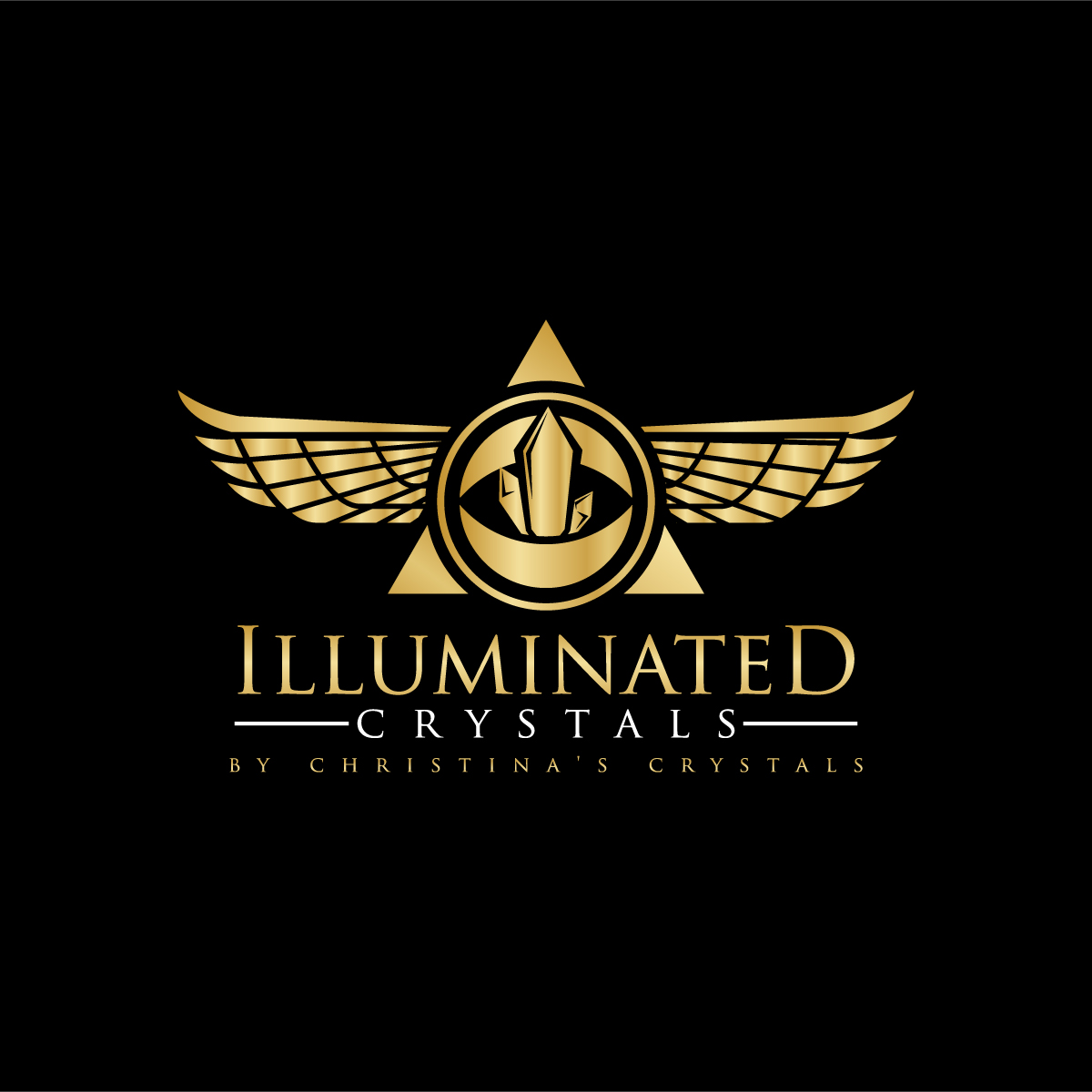 Logo Design by creative.bugs for ChrisAlyssia@Intentiality.com | Design #20480288