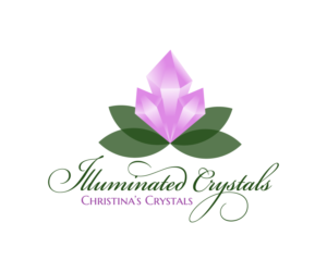 Logo Design by Jelena 6