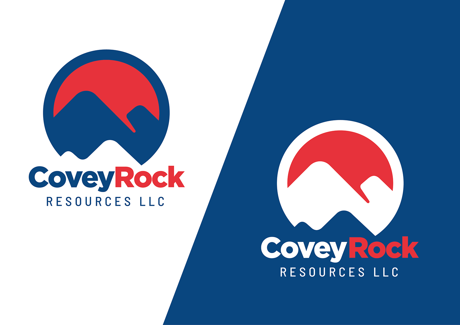 Logo Design by Channel Studio for this project | Design #20524477