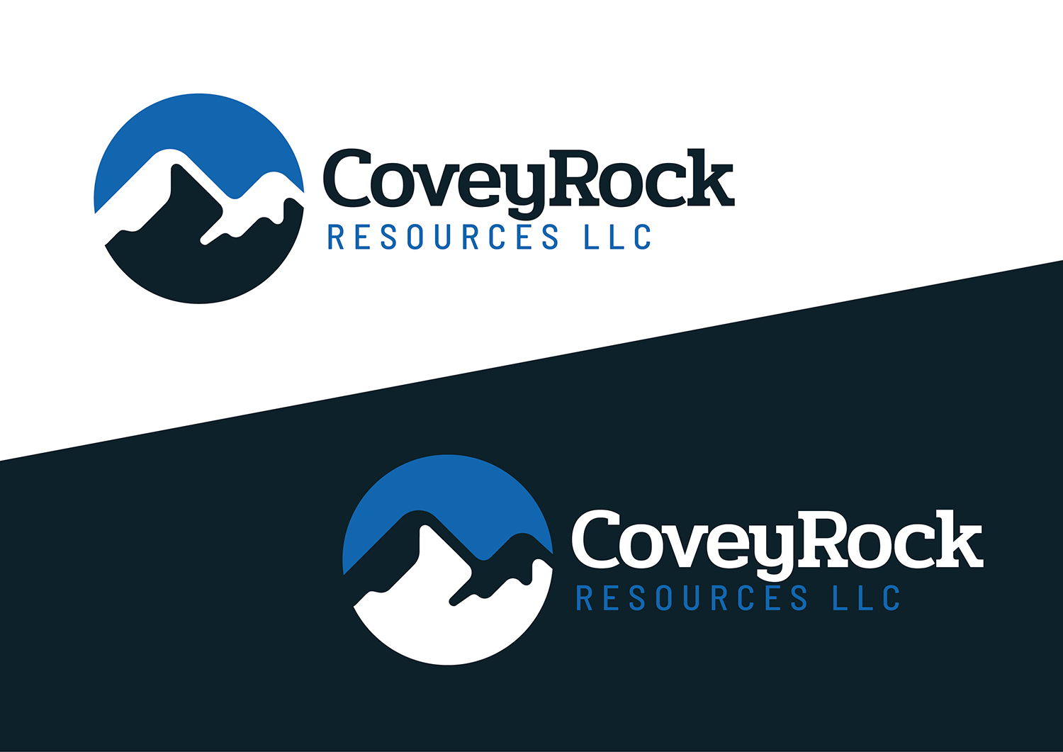 Diseño de Logo por Channel Studio para este proyecto | Diseño #20524481