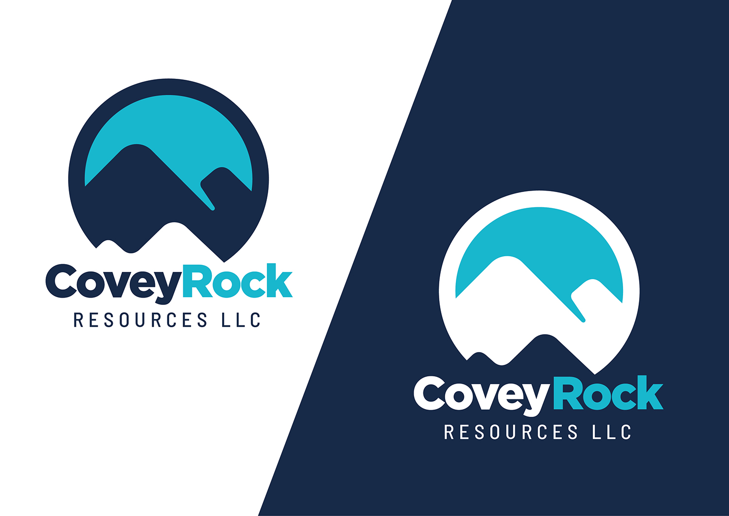 Diseño de Logo por Channel Studio para este proyecto | Diseño #20566324