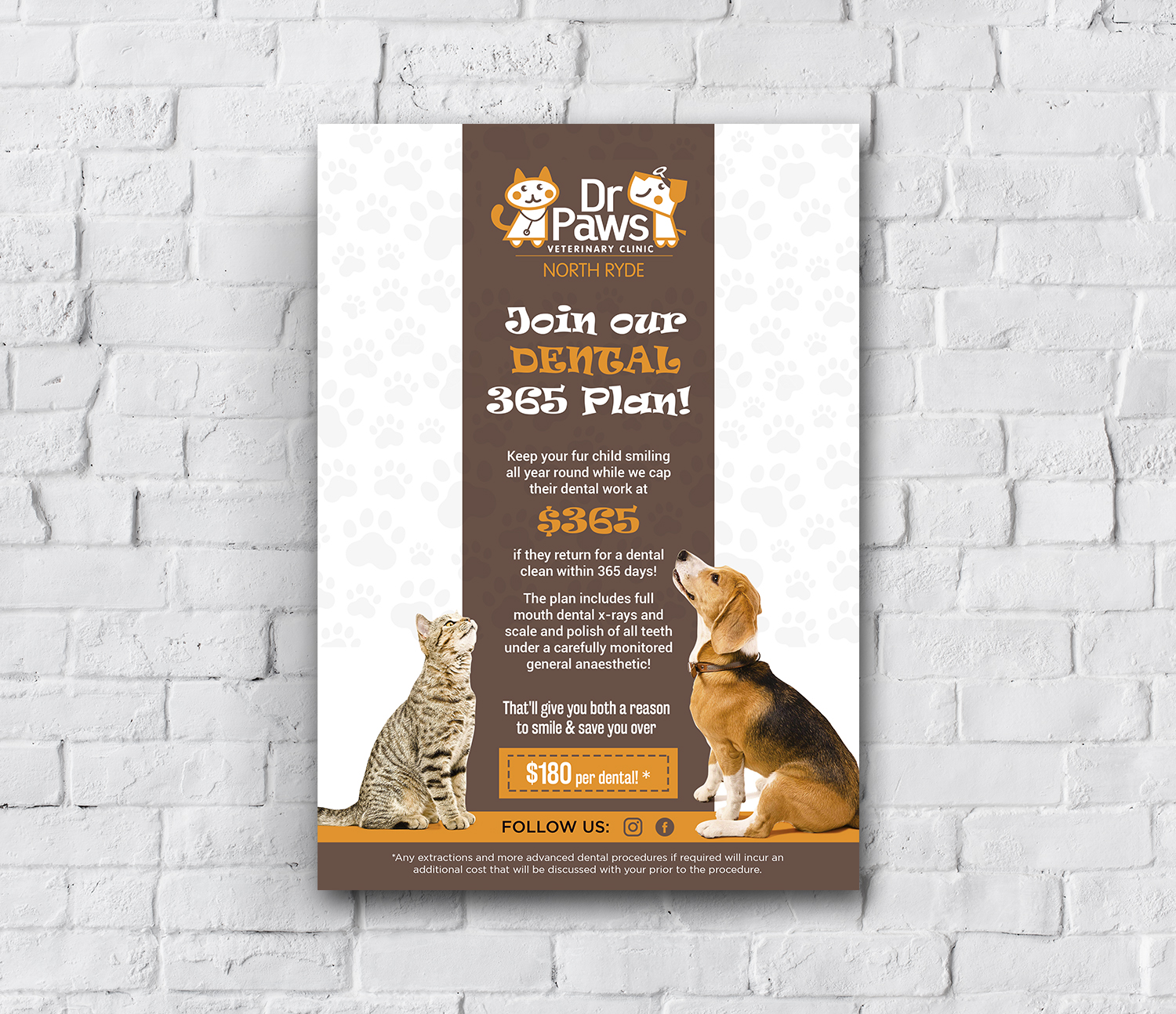 Poster Design by debdesign for Dr Paws North Ryde | Design #20490459