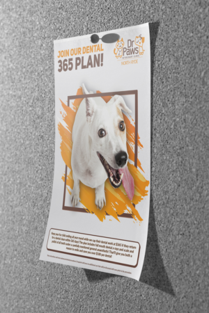 Poster Design by Deziners Zone for Dr Paws North Ryde | Design: #20474276