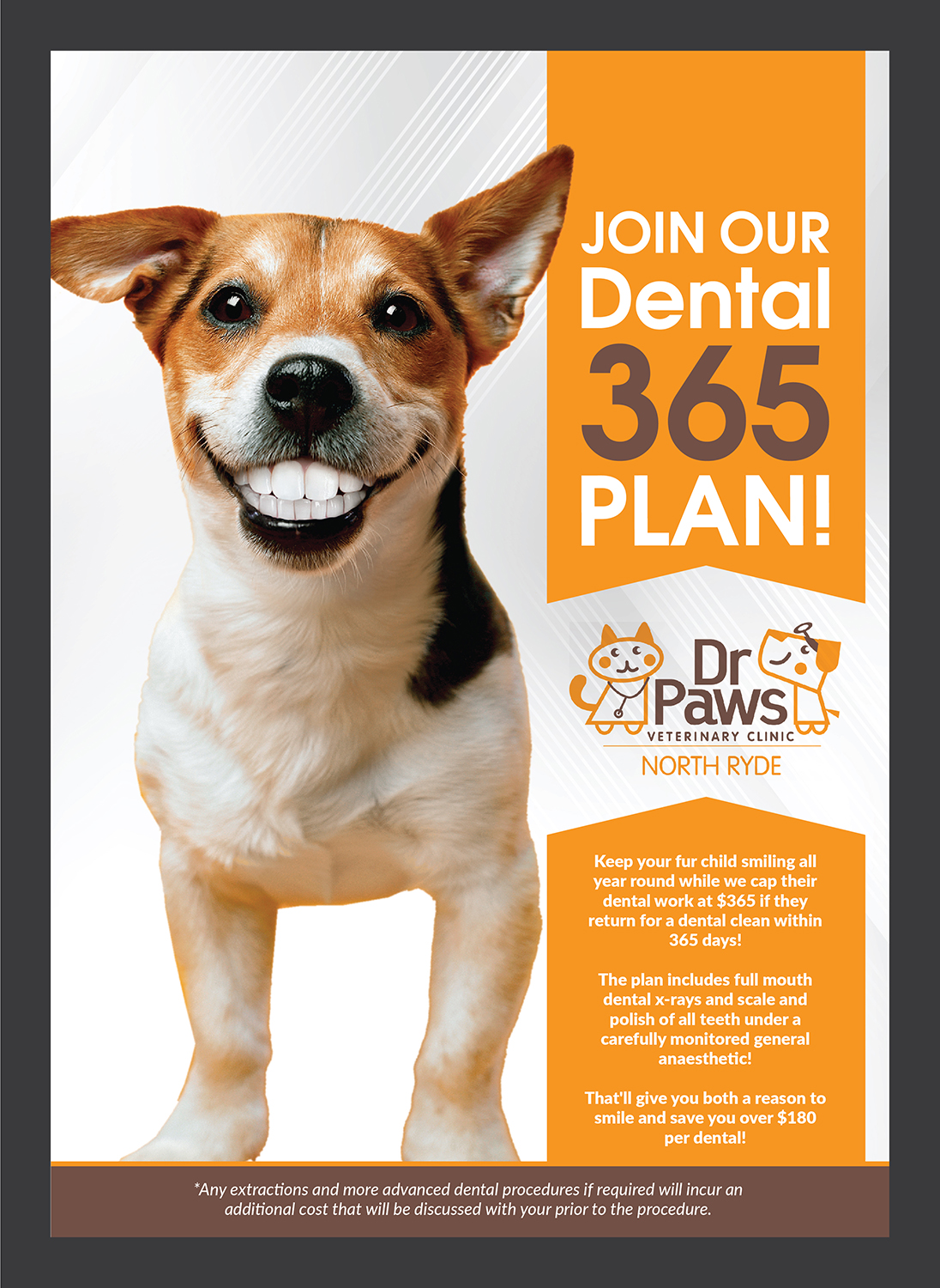 Poster-Design von Deziners Zone für Dr Paws North Ryde | Design #20474287
