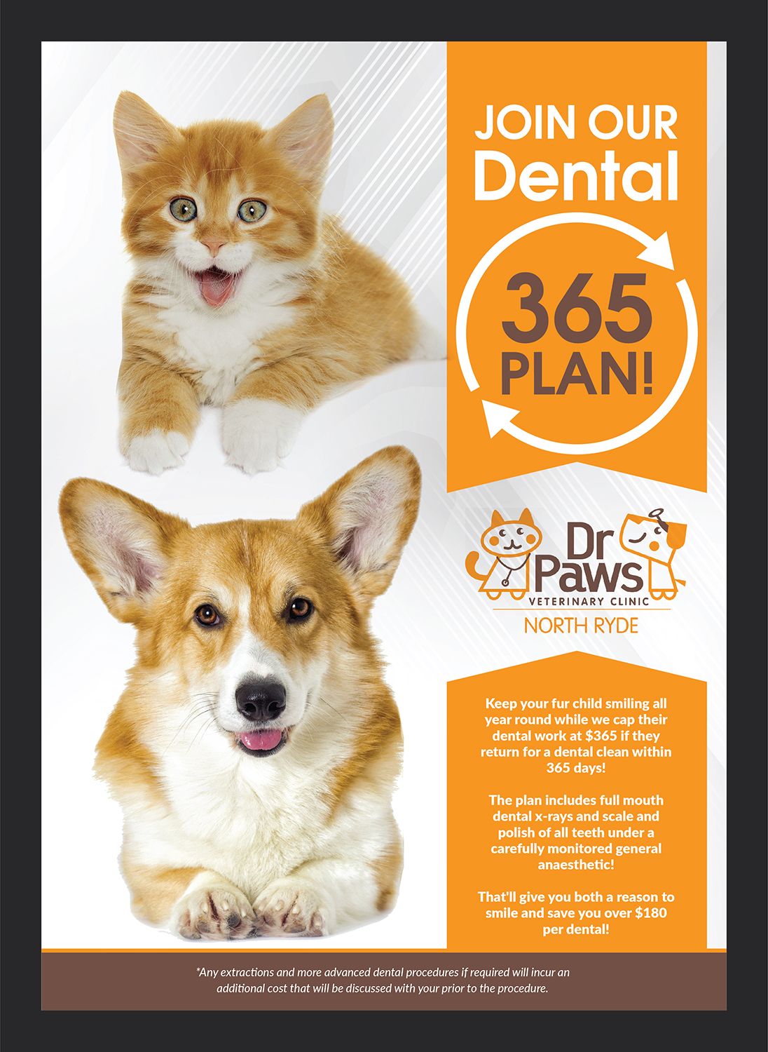 Poster Design by Deziners Zone for Dr Paws North Ryde | Design #20479533