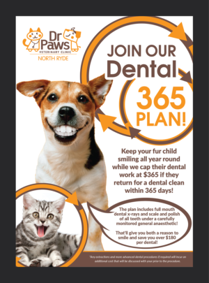 Poster Design by Deziners Zone for Dr Paws North Ryde | Design: #20517995