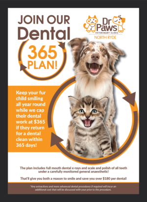 Poster Design by Deziners Zone for Dr Paws North Ryde | Design: #20573381