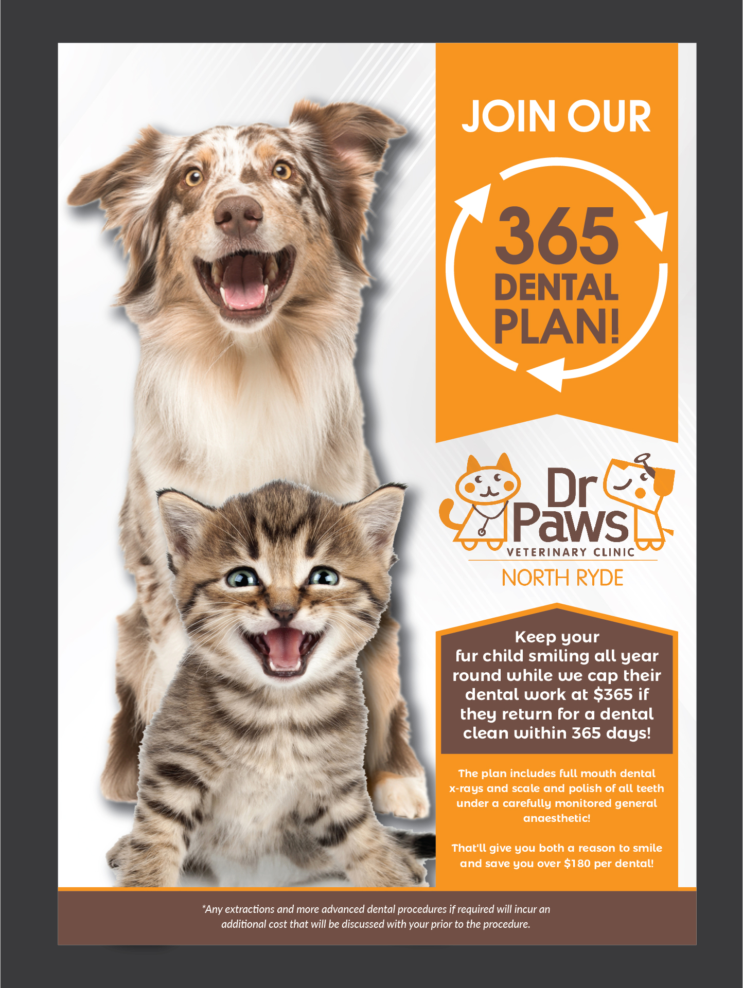 Poster-Design von Deziners Zone für Dr Paws North Ryde | Design #20593023