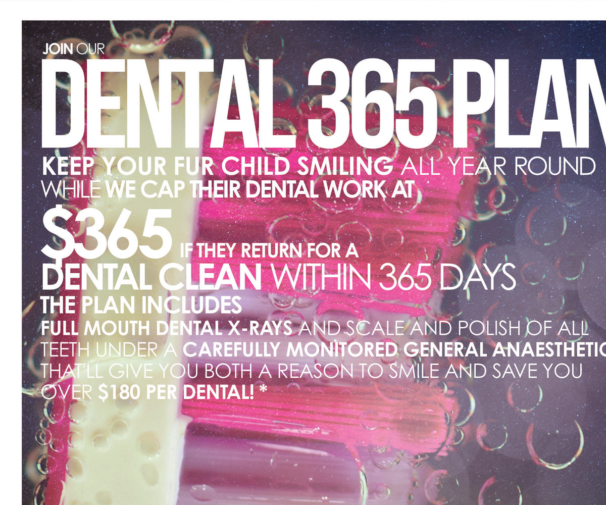 Poster Design by Creative_Sinapsi for Dr Paws North Ryde | Design #20476362