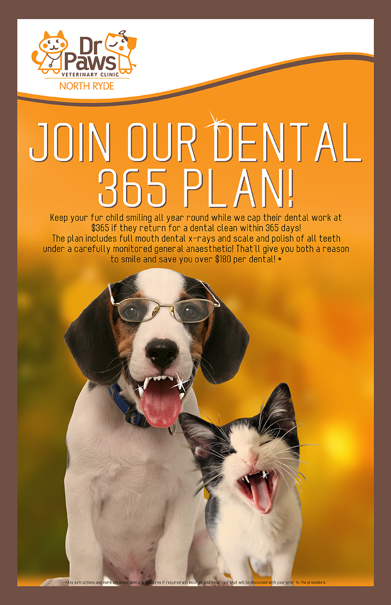 Poster Design by Fine Graphics House for Dr Paws North Ryde | Design #20487501