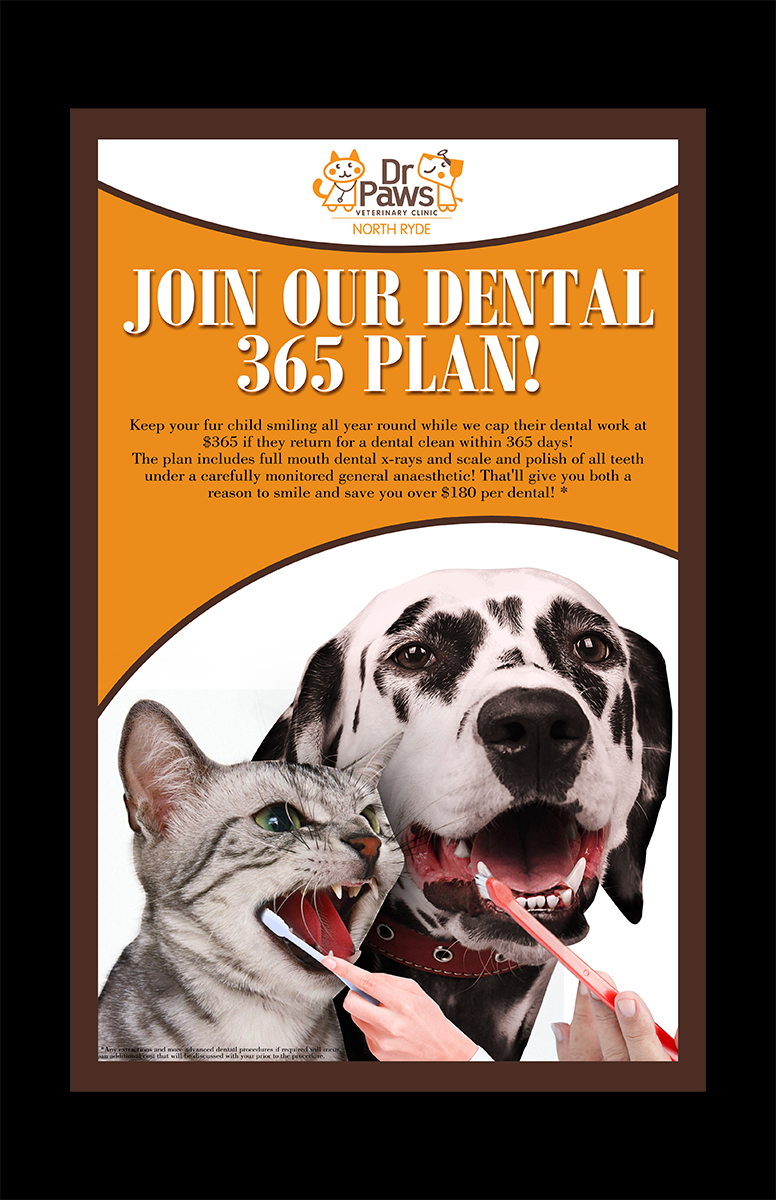 Poster Design by Fine Graphics House for Dr Paws North Ryde | Design #20503102