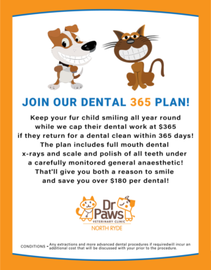 Design de Poster par cre8vpixDesign pour Dr Paws North Ryde | Design #20481111