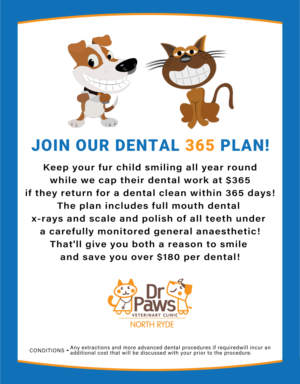 Poster Design by creativepix for Dr Paws North Ryde | Design: #20481117