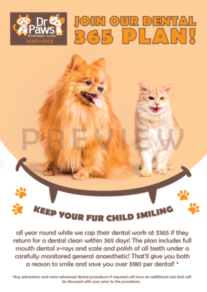 Dental Plan for Dogs | Diseño de Póster por Alaya