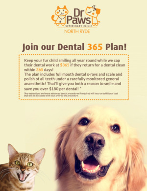 Poster-Design von DesignNY für Dr Paws North Ryde | Design: #20514275
