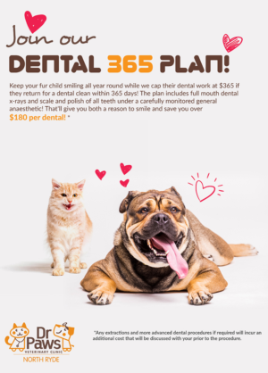 Design de Poster par anirban.graphics16 2 pour Dr Paws North Ryde | Design #20573554