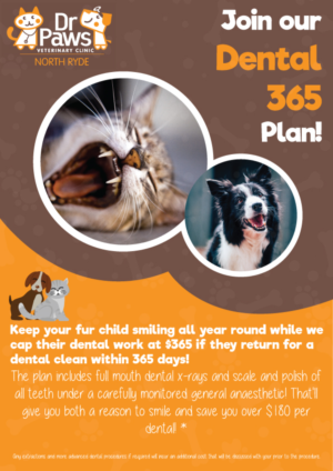 Poster Design by Sayari 3 for Dr Paws North Ryde | Design: #20509814