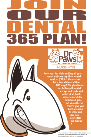 Design de Poster par ramgtGraph pour Dr Paws North Ryde | Design #20500797