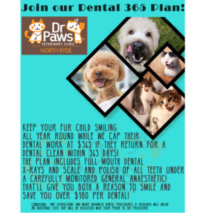 Design de Poster par Haripriya 2 pour Dr Paws North Ryde | Design #20472826