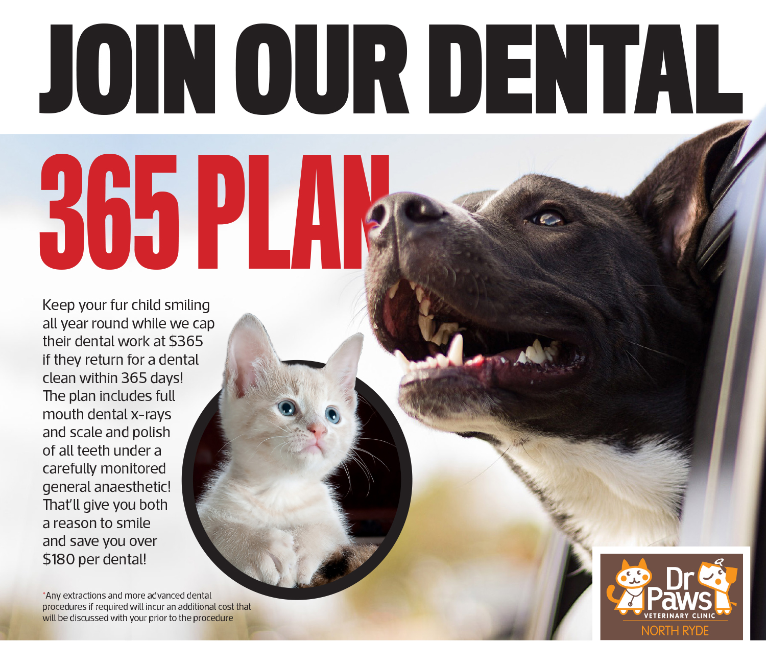 Diseño de Póster por Uros 3 para Dr Paws North Ryde | Diseño #20485152