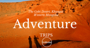 Diseño de Logo por rafikrdhaounia 2 para este proyecto | Diseño: #20565827