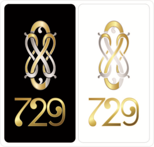 Logo Design by inspirodesign for SinFooTech | Design: #20560002