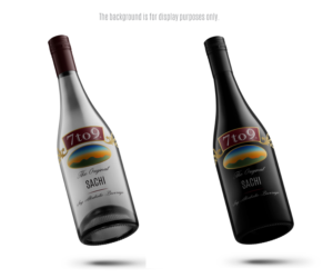 Logo Design by edwinnegz1 for SinFooTech | Design: #20522111