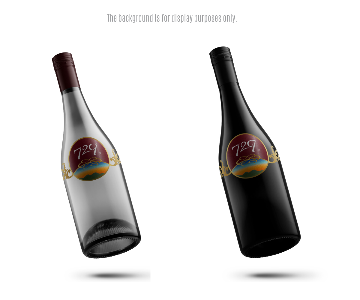 Logo Design by edwinnegz1 for SinFooTech | Design #20540073