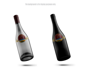 Logo Design by edwinnegz1 for SinFooTech | Design: #20542746