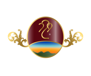 Logo Design by edwinnegz1 for SinFooTech | Design: #20542748