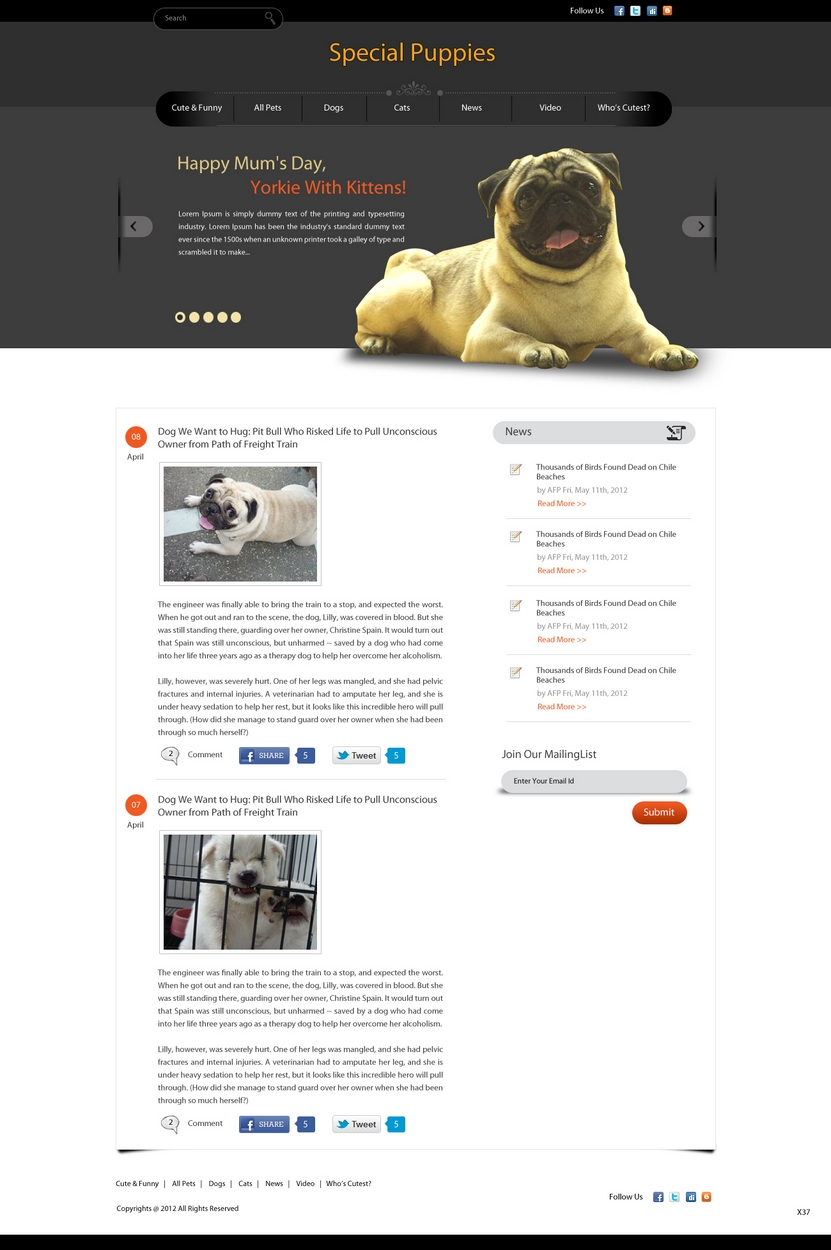 Design Wordpress par pb pour ce projet | Design #779784