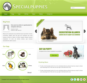 Wordpress Design by pb for this project | Design: #780951