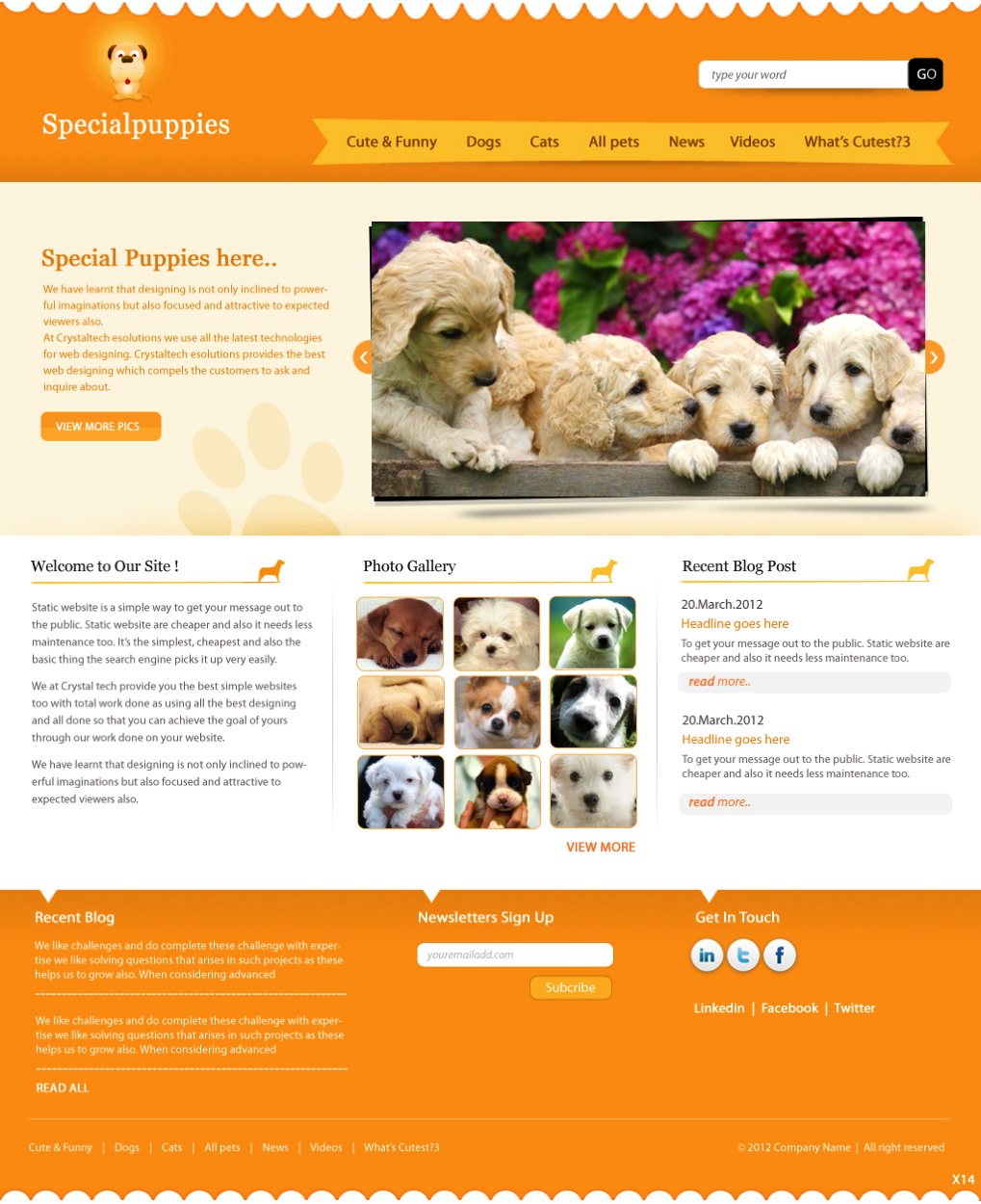 Design Wordpress par pb pour ce projet | Design #781090