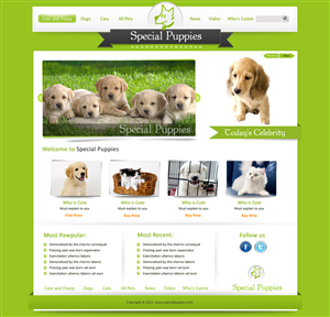Wordpress Design by pb for this project | Design: #785541