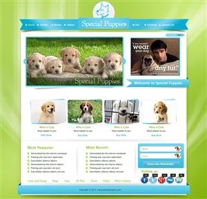 Wordpress Design by pb for this project | Design: #789517