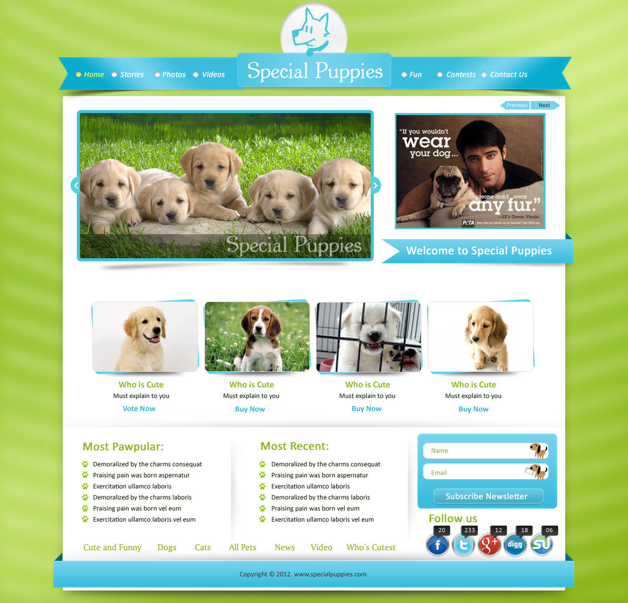 Wordpress Design by pb for this project | Design #789518