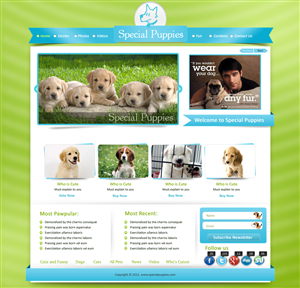 Wordpress Design by pb for this project | Design: #789518