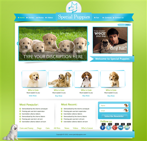 Wordpress Design by pb for this project | Design: #792974