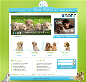 Wordpress Design by pb for this project | Design: #795309