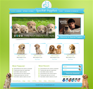 Wordpress Design by pb for this project | Design: #796800