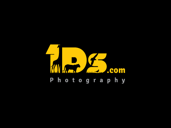 Design de Logo par Brando ST pour ce projet | Design : #710198